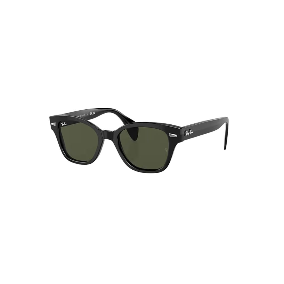 Rayban RB0880S