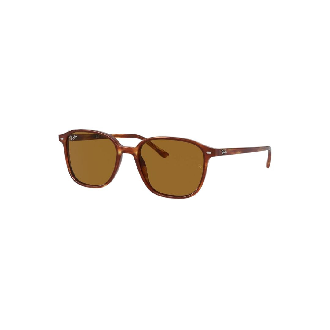 Rayban Leonard RB2193